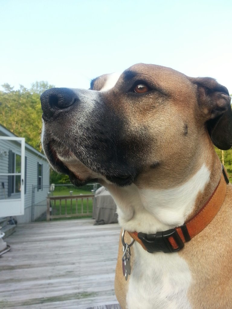 20150704_193422.jpg
