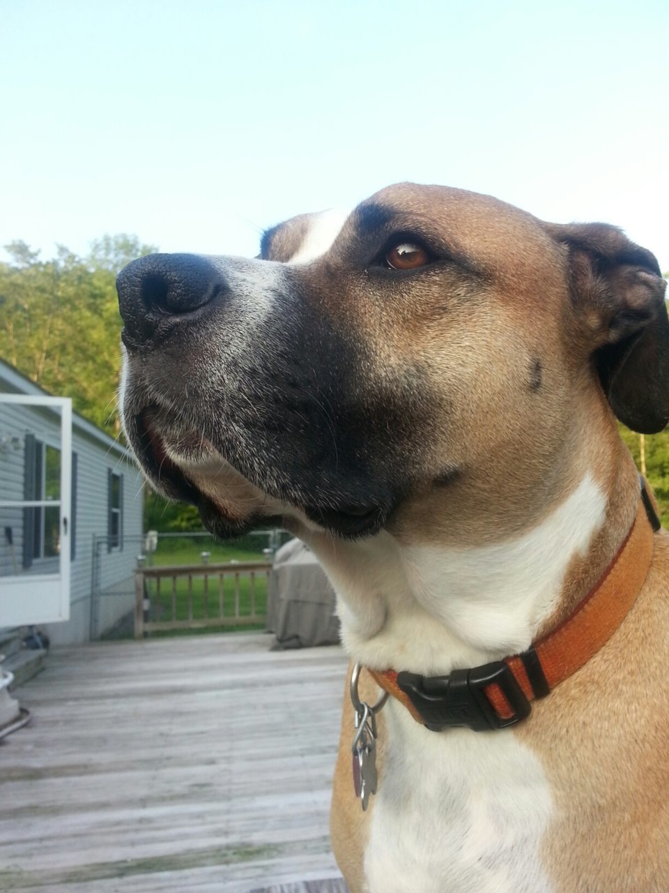 20150704_193422.jpg