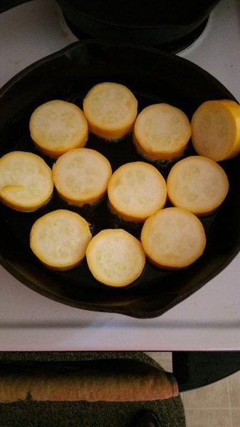 20150705_165327.jpg