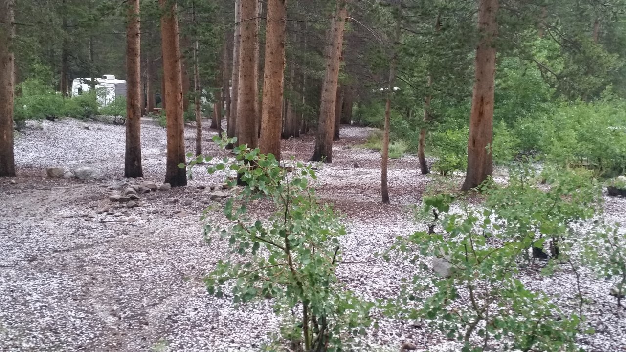 20150708_133424.jpg
