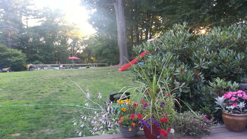 20150716_193220.jpg