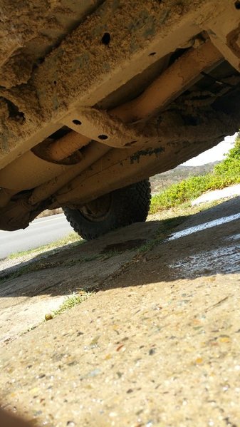20150719_110757.jpg