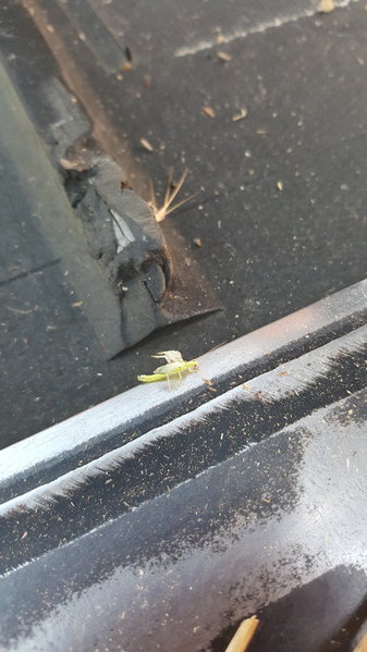 20150719_201402.jpg