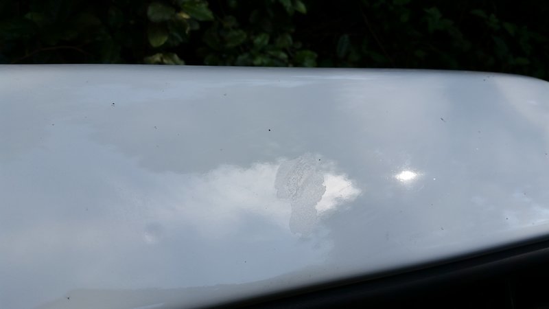 20150723_102836.jpg