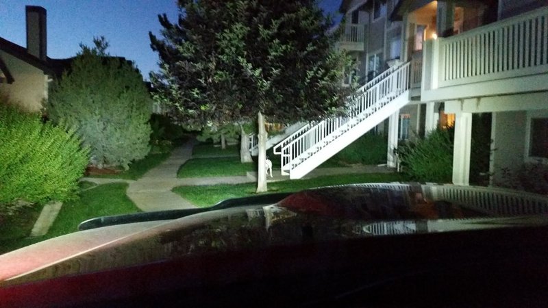 20150723_205456.jpg