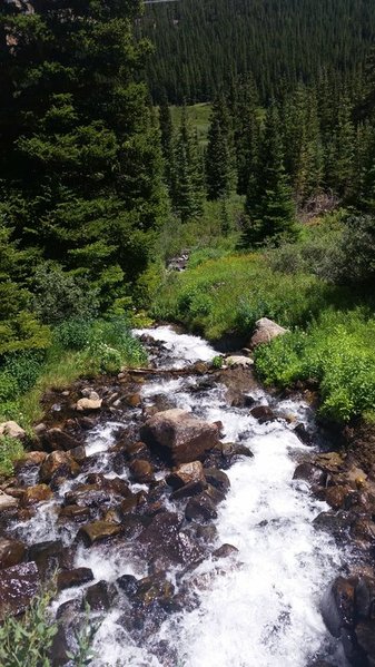 20150725_135555.jpg