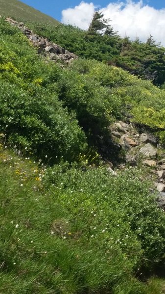 20150725_144208.jpg