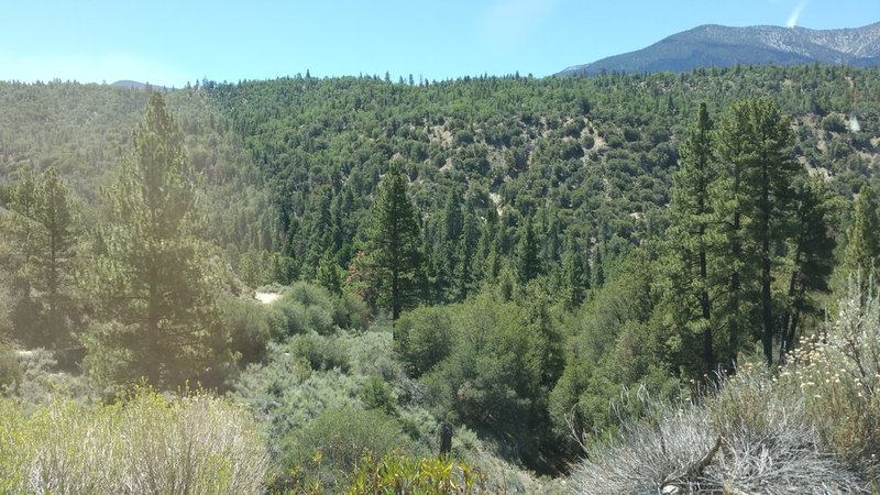 20150726_111831.jpg