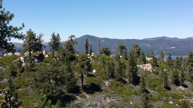 20150726_140805.jpg