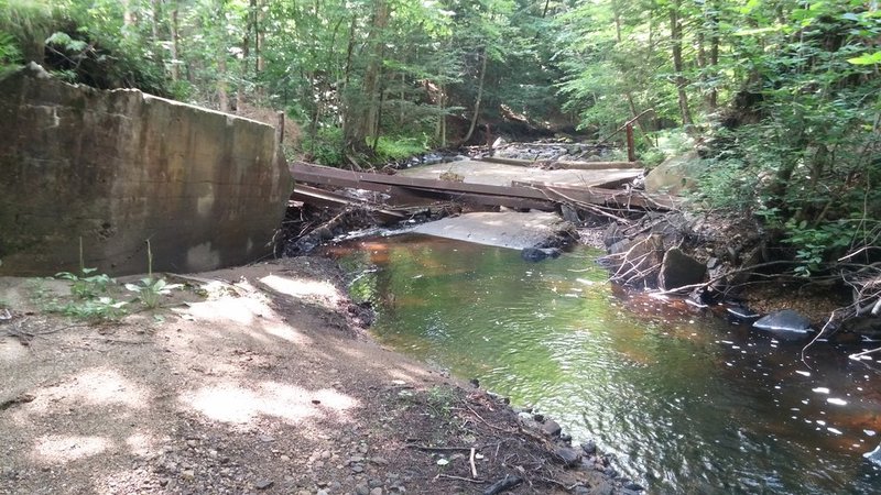 20150726_155311.jpg