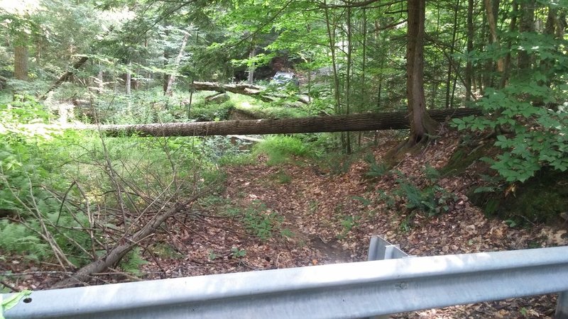 20150726_155429.jpg