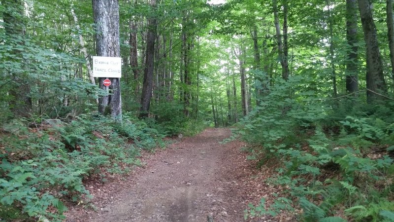 20150726_160820.jpg