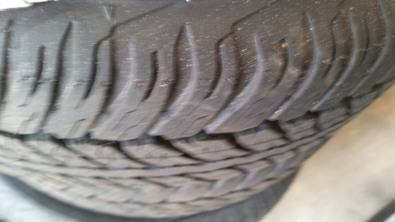 20150729_123223.jpg