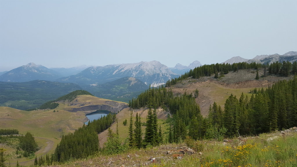 20150802_125038_0b982e14f39989b9005ea005002c1a8df76f1bba.jpg