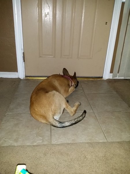20150802_202210.jpg