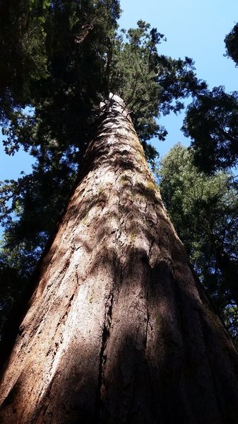 20150809_105955.jpg