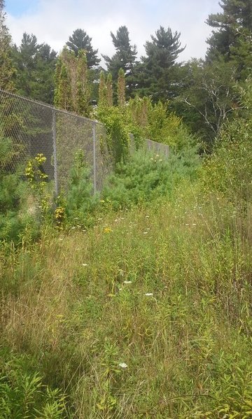 20150810_100443.jpg
