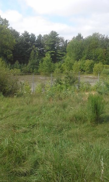 20150810_100504.jpg