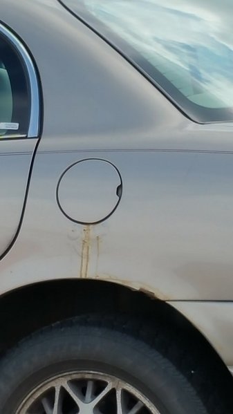 20150811_104607.jpg
