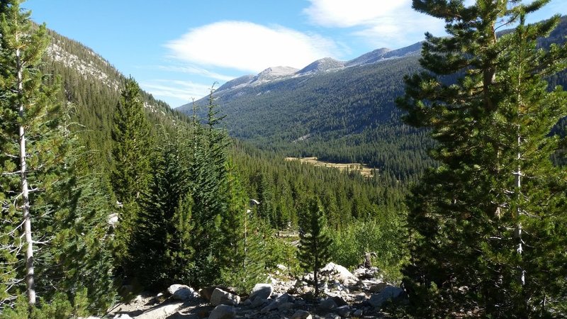 20150814_091326.jpg
