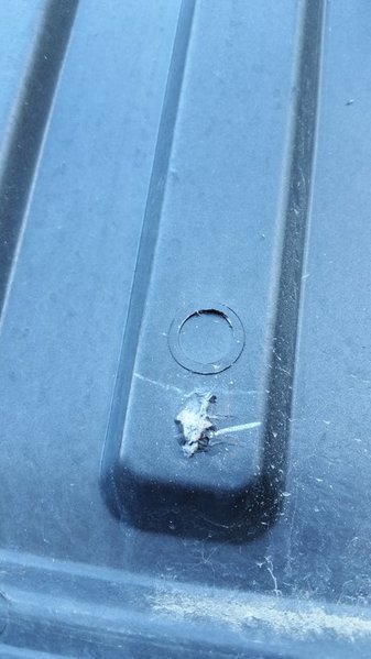 20150815_121702.jpg