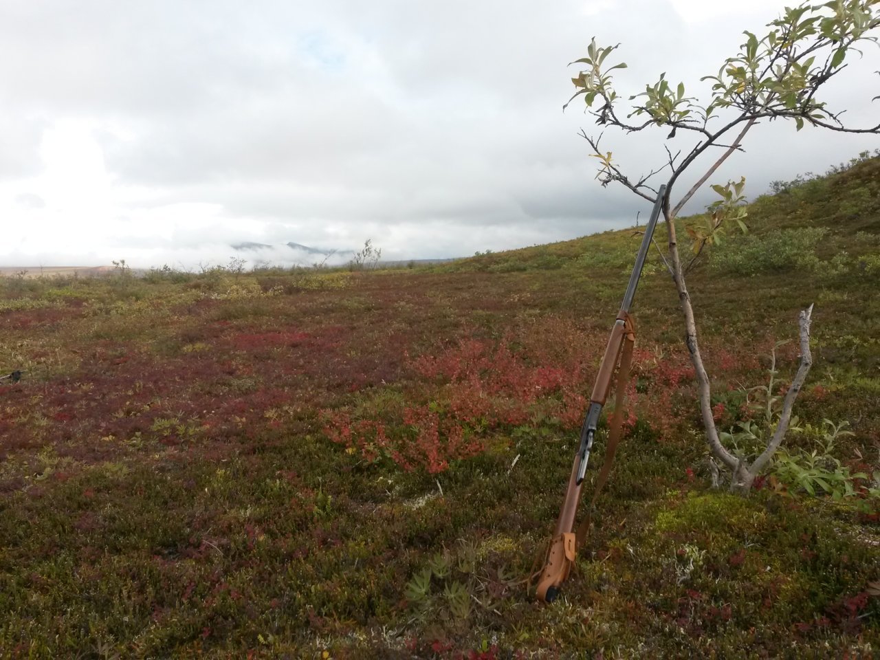 20150815_151614.jpg