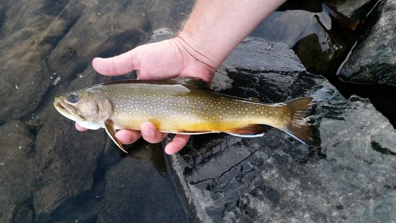 20150816_061838.jpg