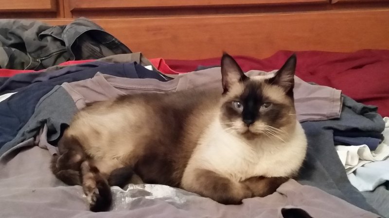 20150816_185221.jpg