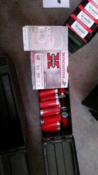 20150817_113745.jpg