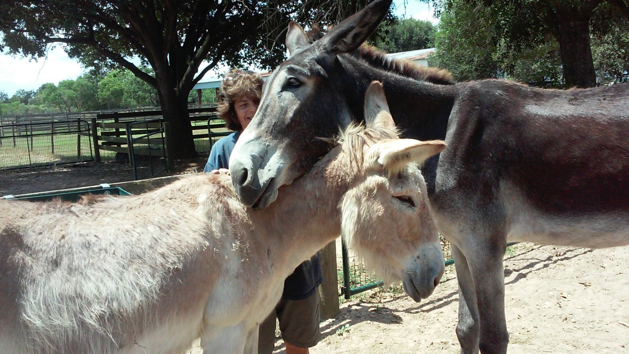 20150818_123050.jpg