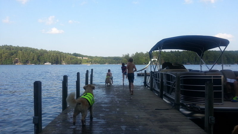 20150819_172939_2_bestshot.jpg