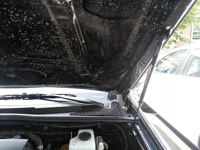 20150823_110233.jpg