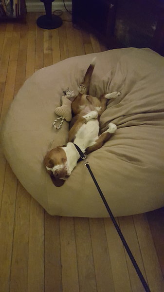 20150823_224430_001.jpg