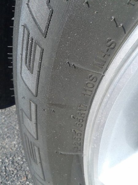 20150824_082851.jpg