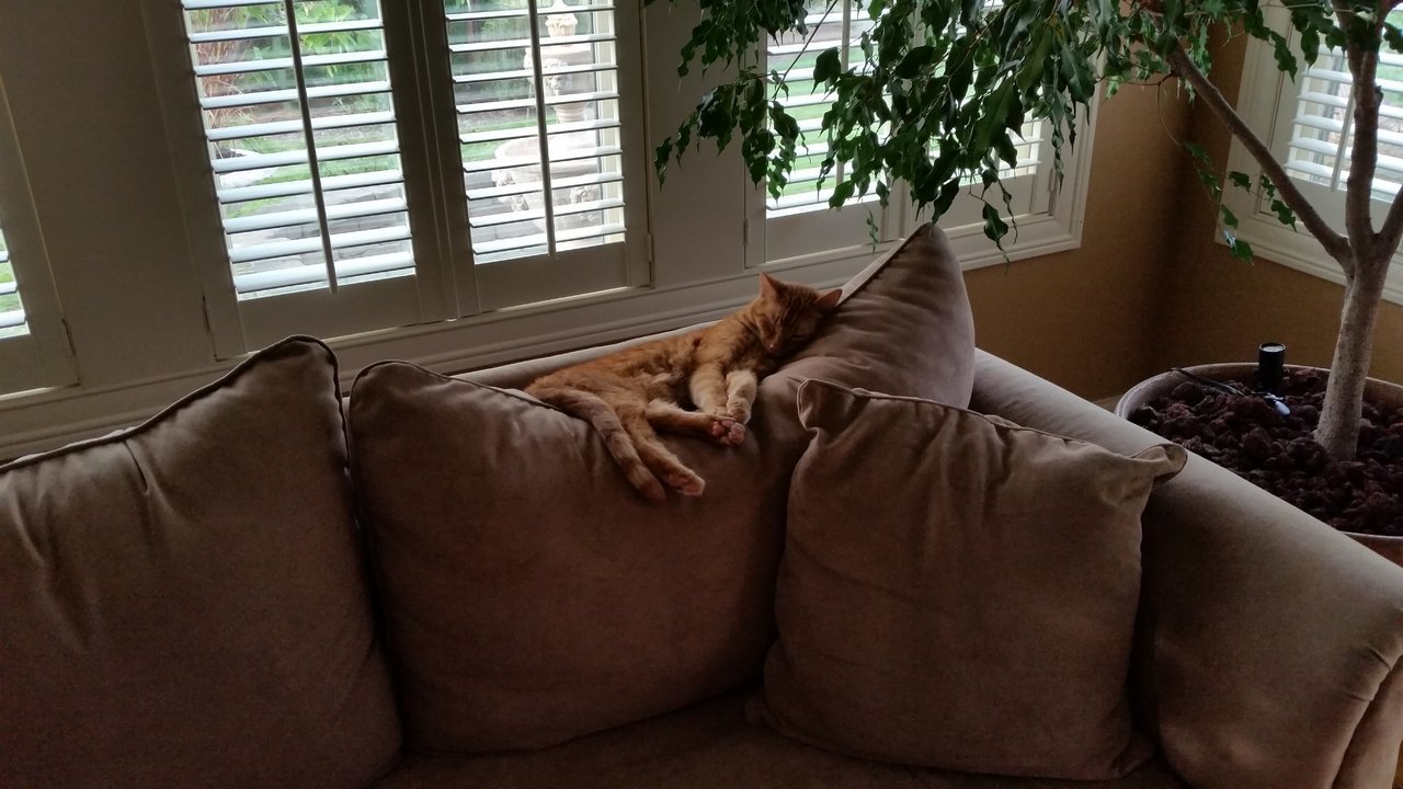 20150828_180246.jpg