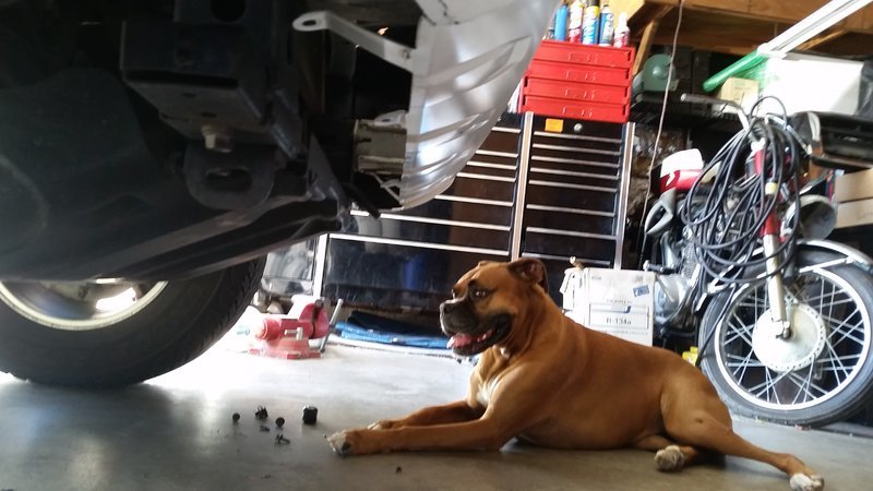 20150830_111412.jpg