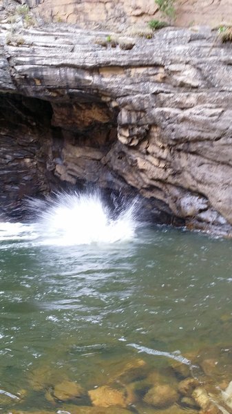20150830_123602.jpg