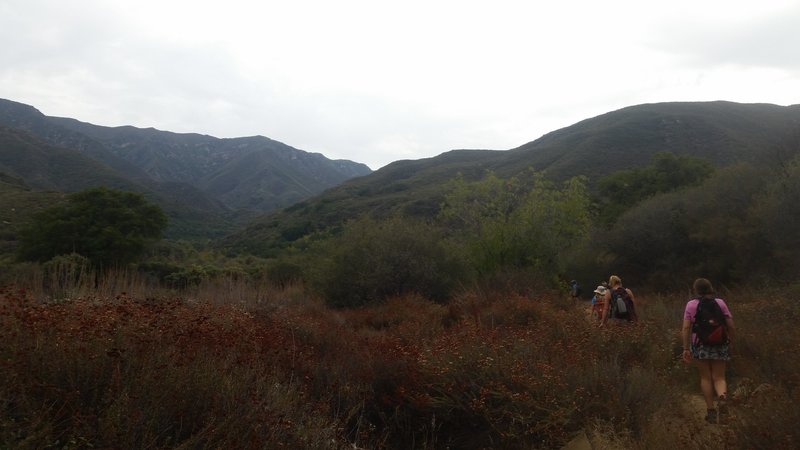 20150912_141750.jpg