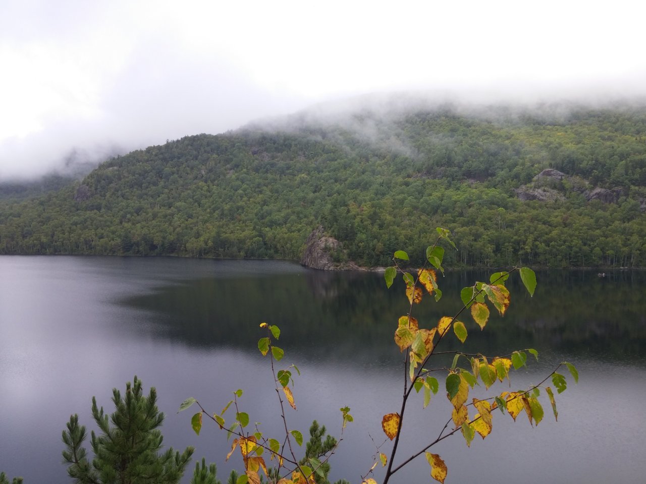20150914_123219.jpg