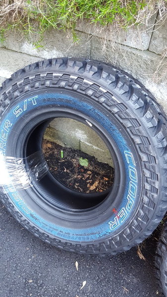 20150917_170315.jpg