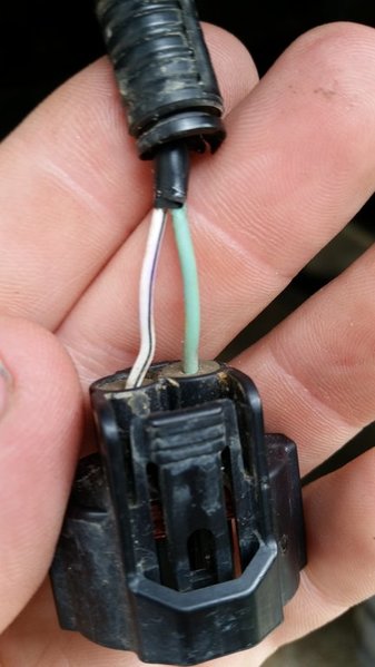 20150917_174231.jpg