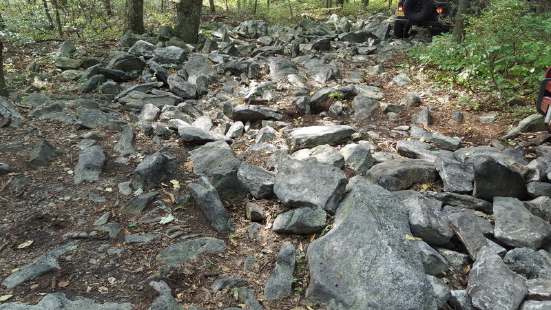 20150919_133244.jpg