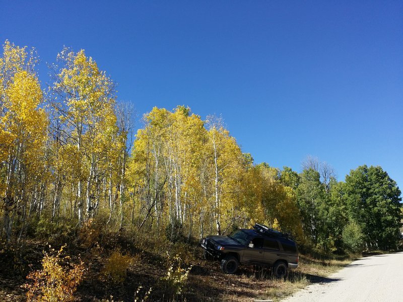 20150920_105940.jpg