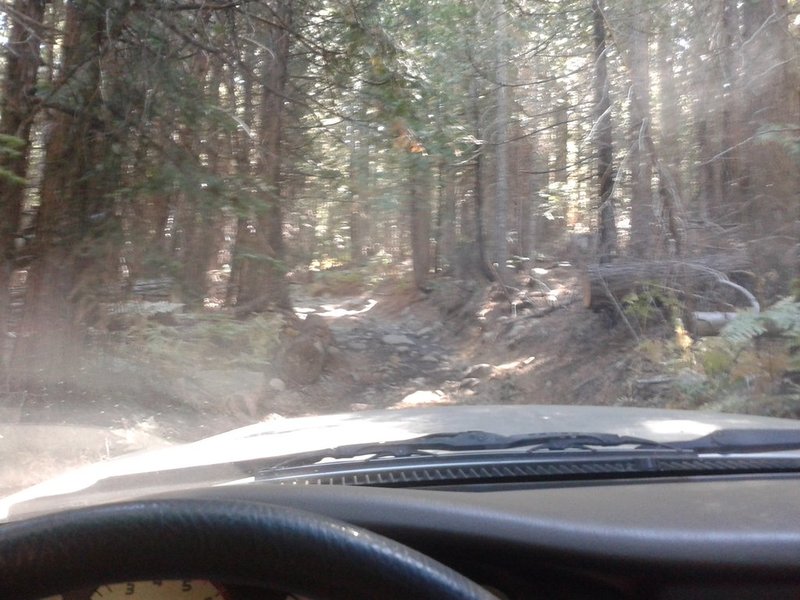 20150920_111901.jpg