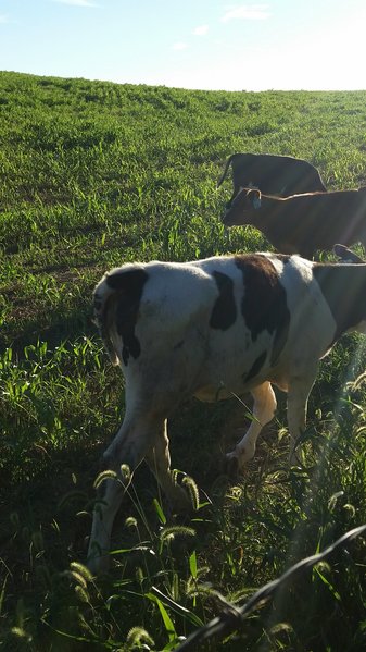 20150920_180502.jpg