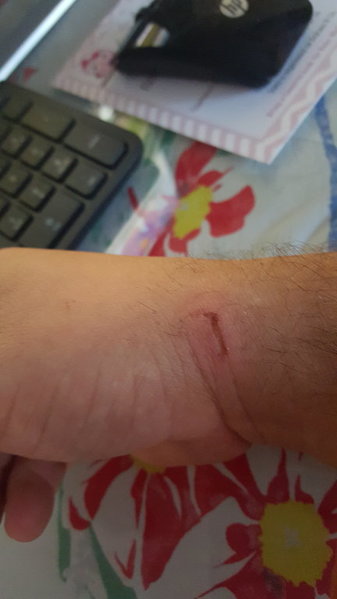20150920_181437.jpg