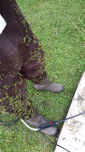 20150922_100606.jpg