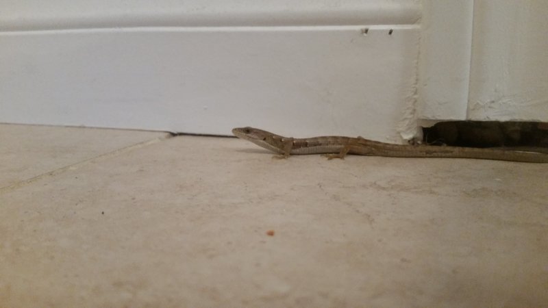20150923_075651.jpg