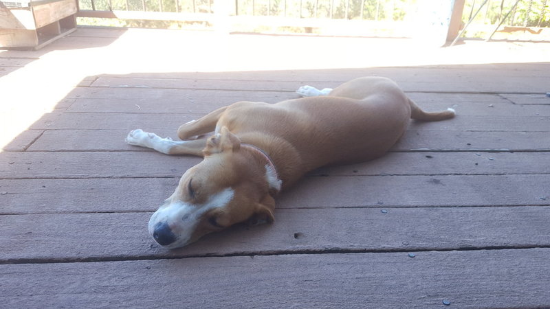 20150923_113729.jpg