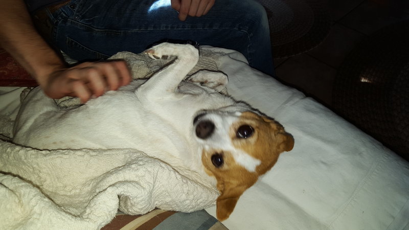 20150925_145238.jpg